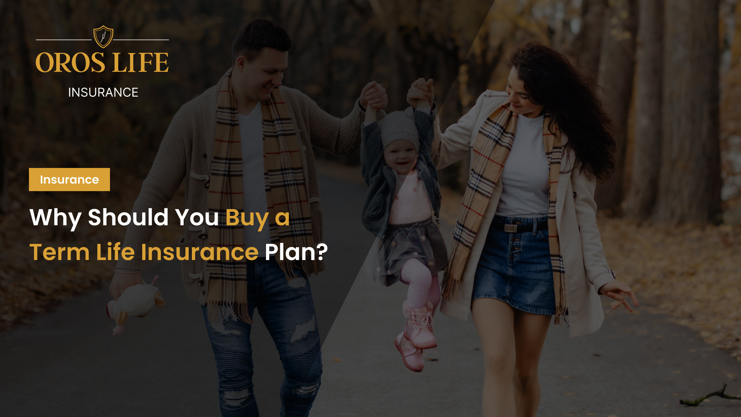 Why Should You Buy a Term Life Insurance Plan